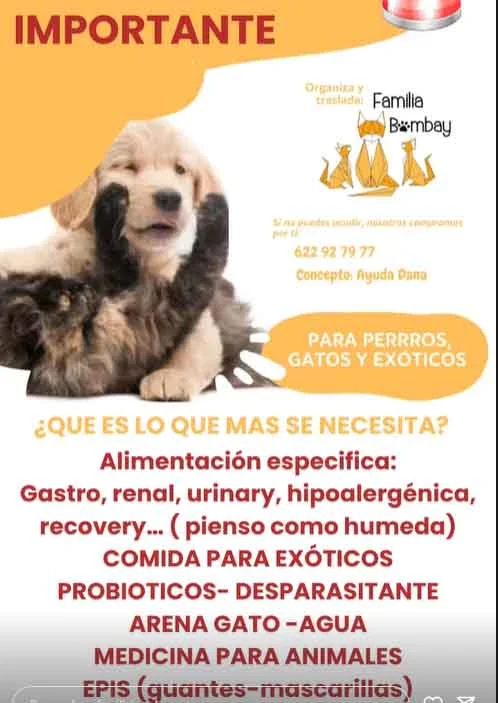 Protectoras de animales afectadas por la DANA.