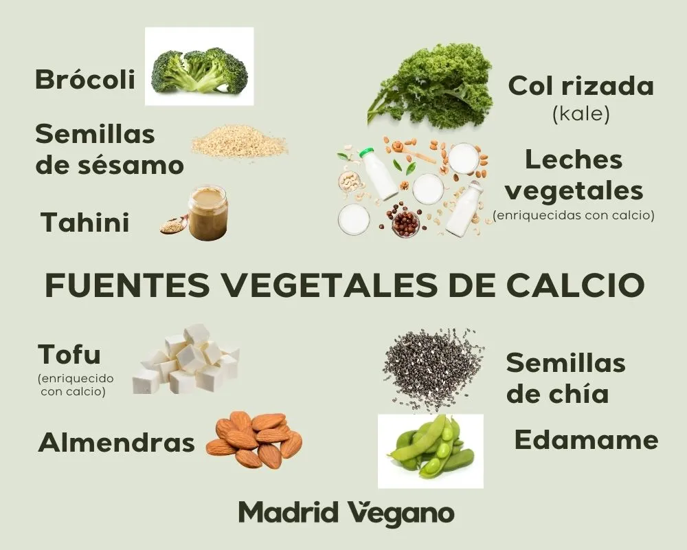 Comer vegano y equilibrado: fuentes vegetales de calcio.