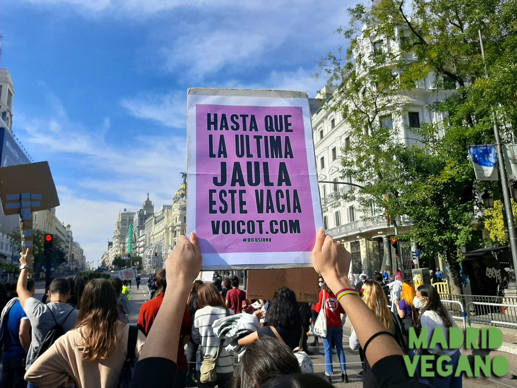 El Veganismo No Es Una Moda Del Siglo Xxi Madrid Vegano 