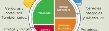 Plato Harvard vegano