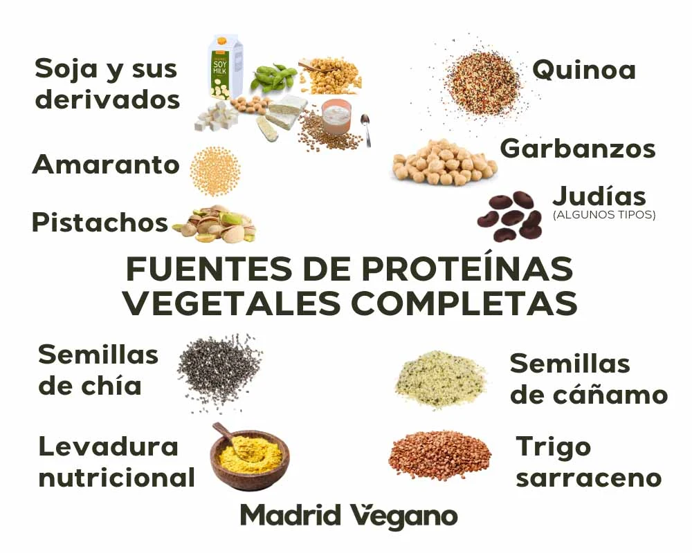 Proteínas vegetales completas