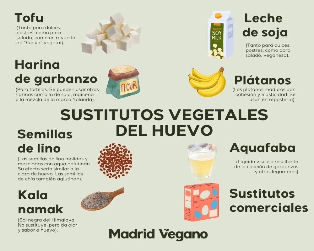 Guía de sustitutos veganos